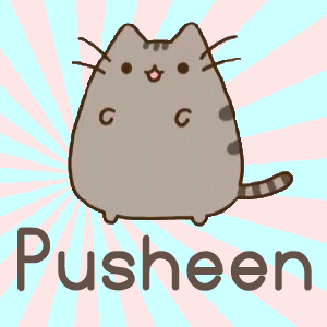 Pusheen Plush